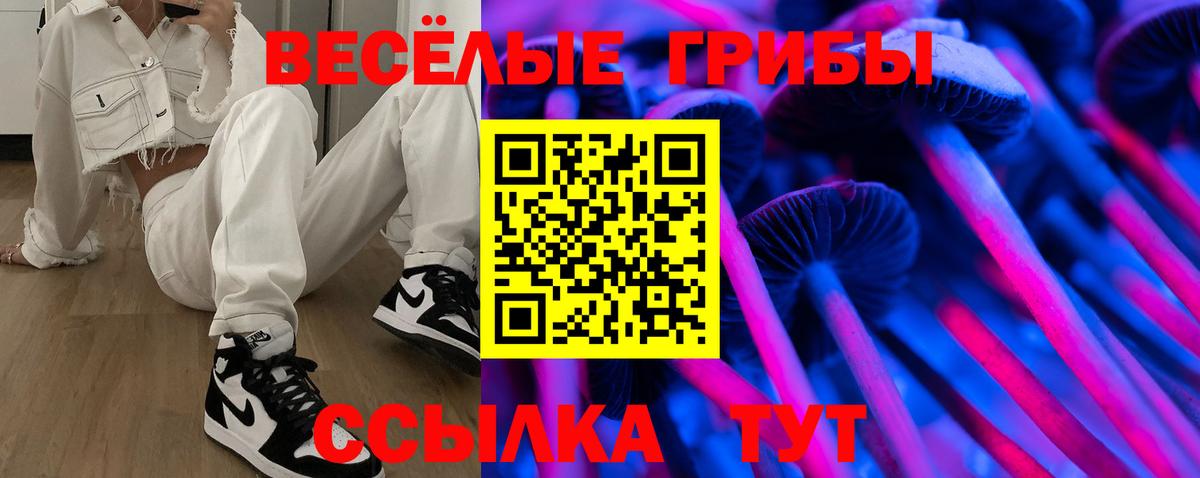 Галлюциногенные грибы MAGIC MUSHROOMS  Вход с VPN  что такое наркотик  Отрадный 