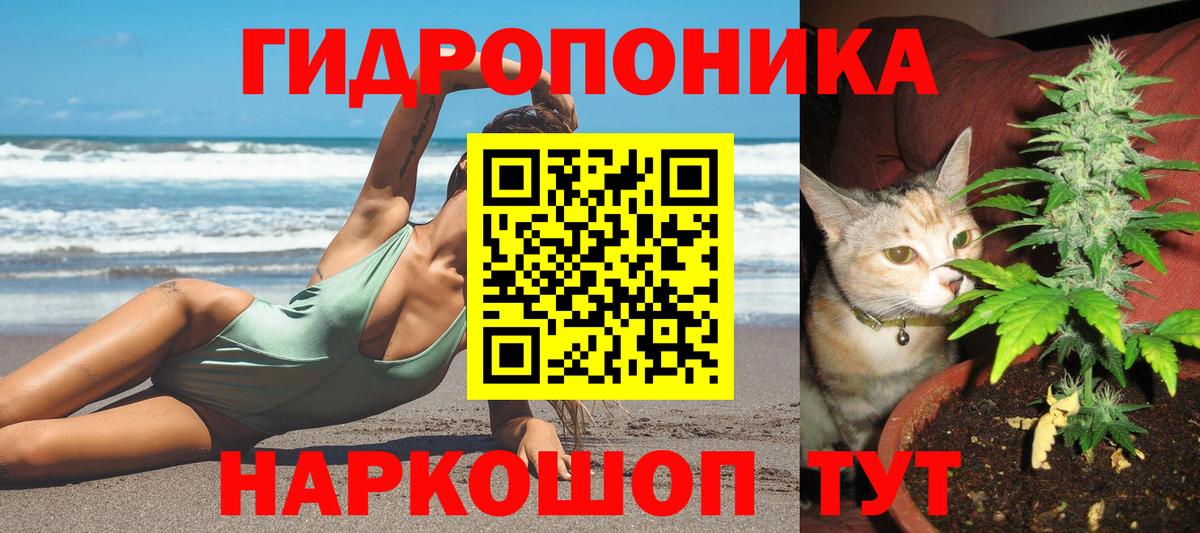 МАРИХУАНА OG Kush Отрадный