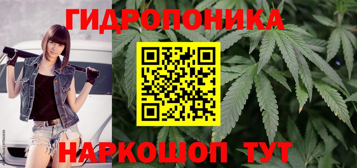 Каннабис ГИДРОПОН  Вход с VPN  Шишки марихуана сатива  Каннабис гибрид  Отрадный 